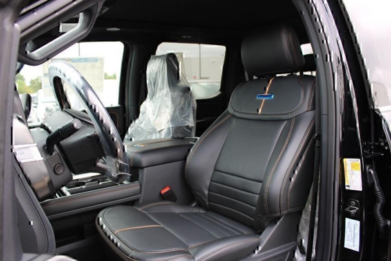 2024 Ford Super Duty F-350 Platinum Photo