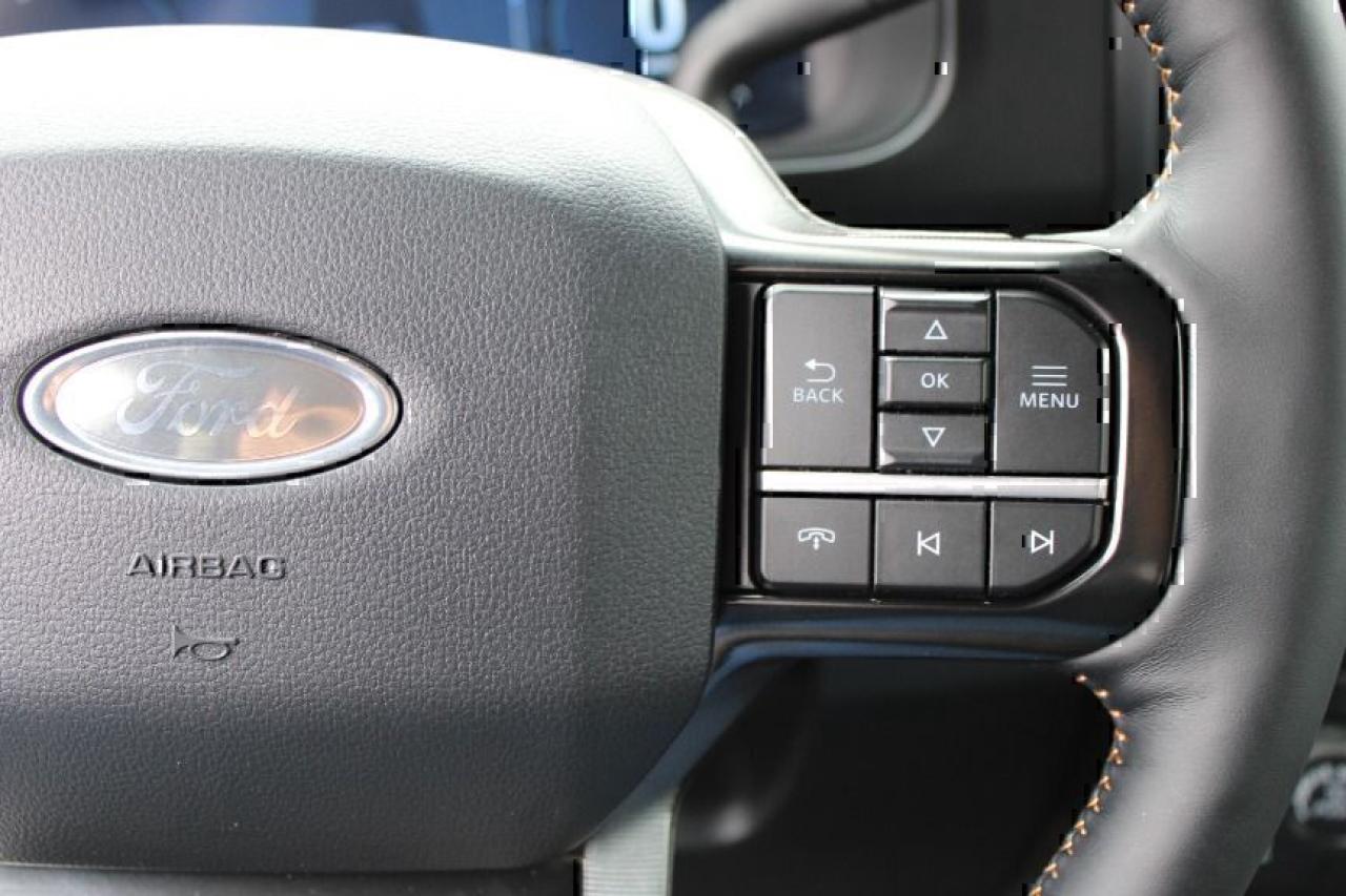 2024 Ford Super Duty F-350 Platinum Photo