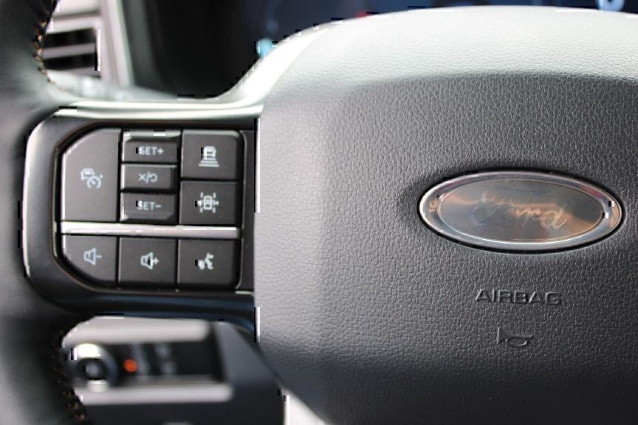 2024 Ford Super Duty F-350 Platinum Photo