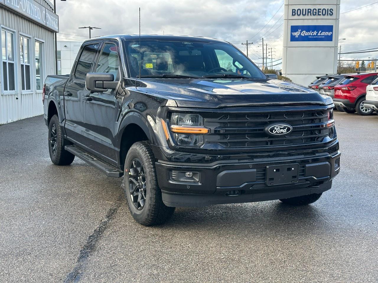 2025 Ford F-150 XLT 4WD SuperCrew 5.5' Box Photo3