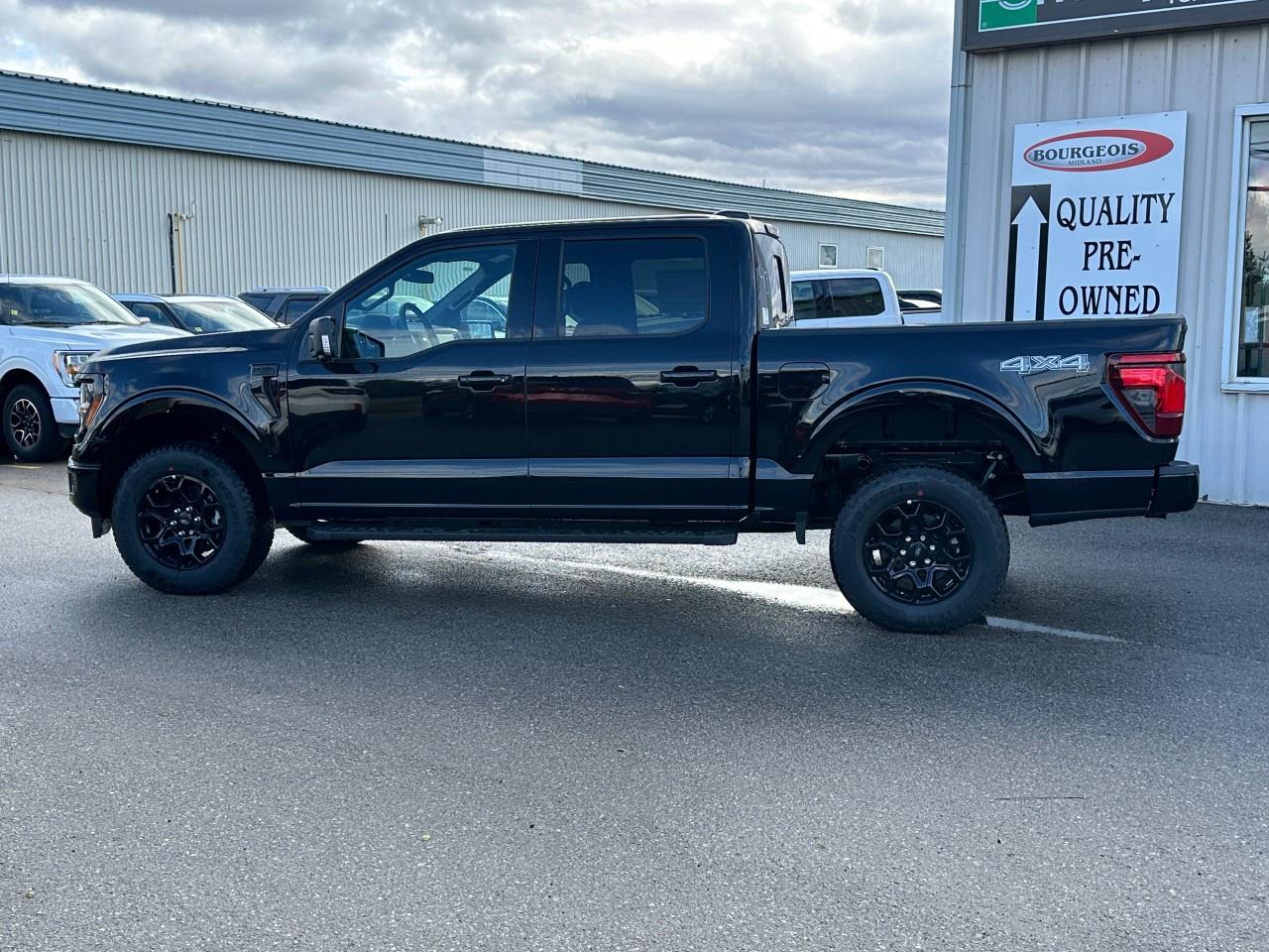 2025 Ford F-150 XLT 4WD SuperCrew 5.5' Box Photo