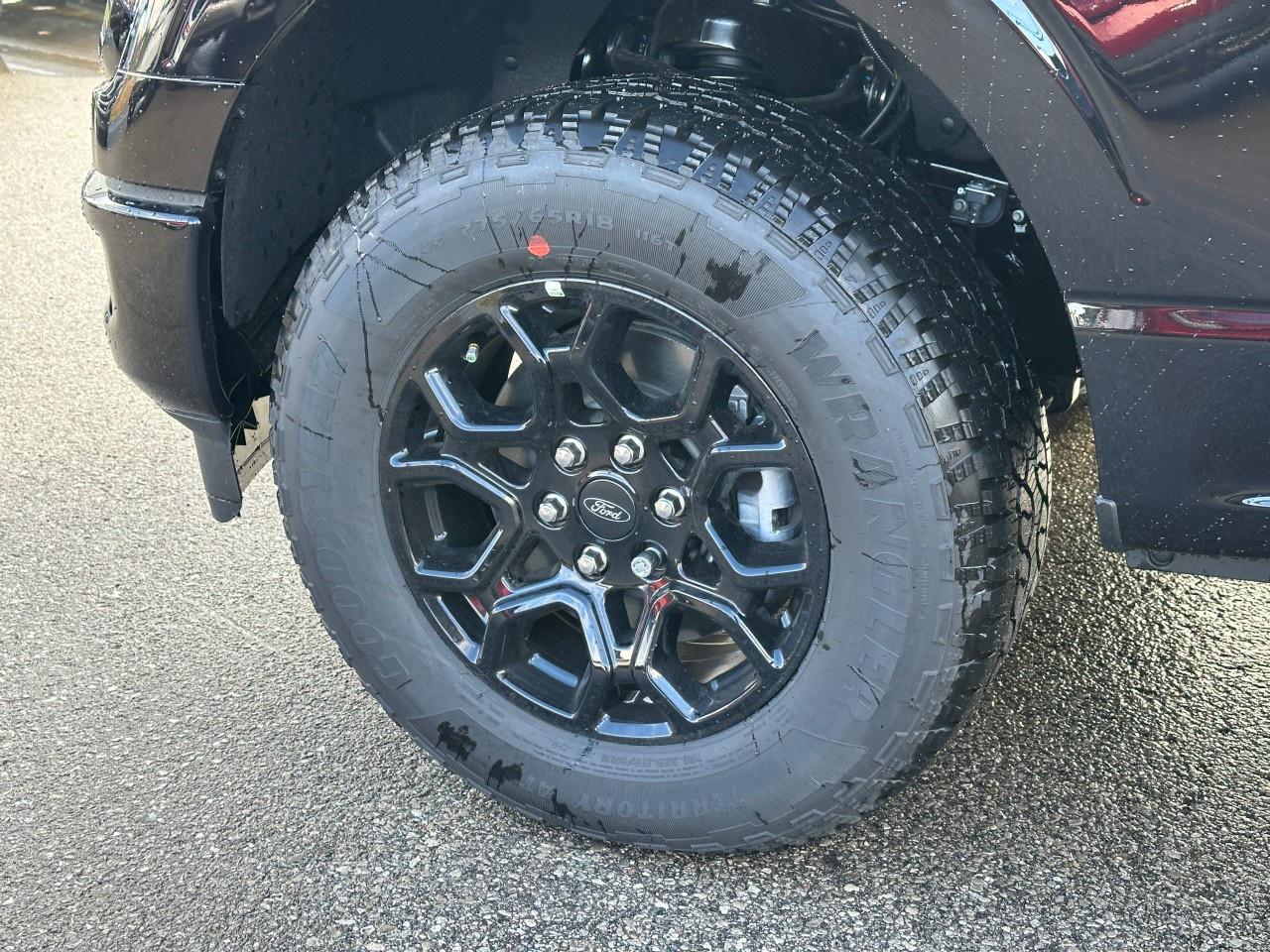 2025 Ford F-150 XLT 4WD SuperCrew 5.5' Box Photo