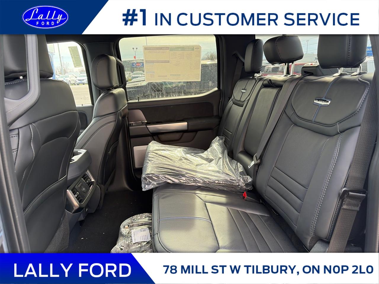 2026 Ford F-250 Platinum Photo