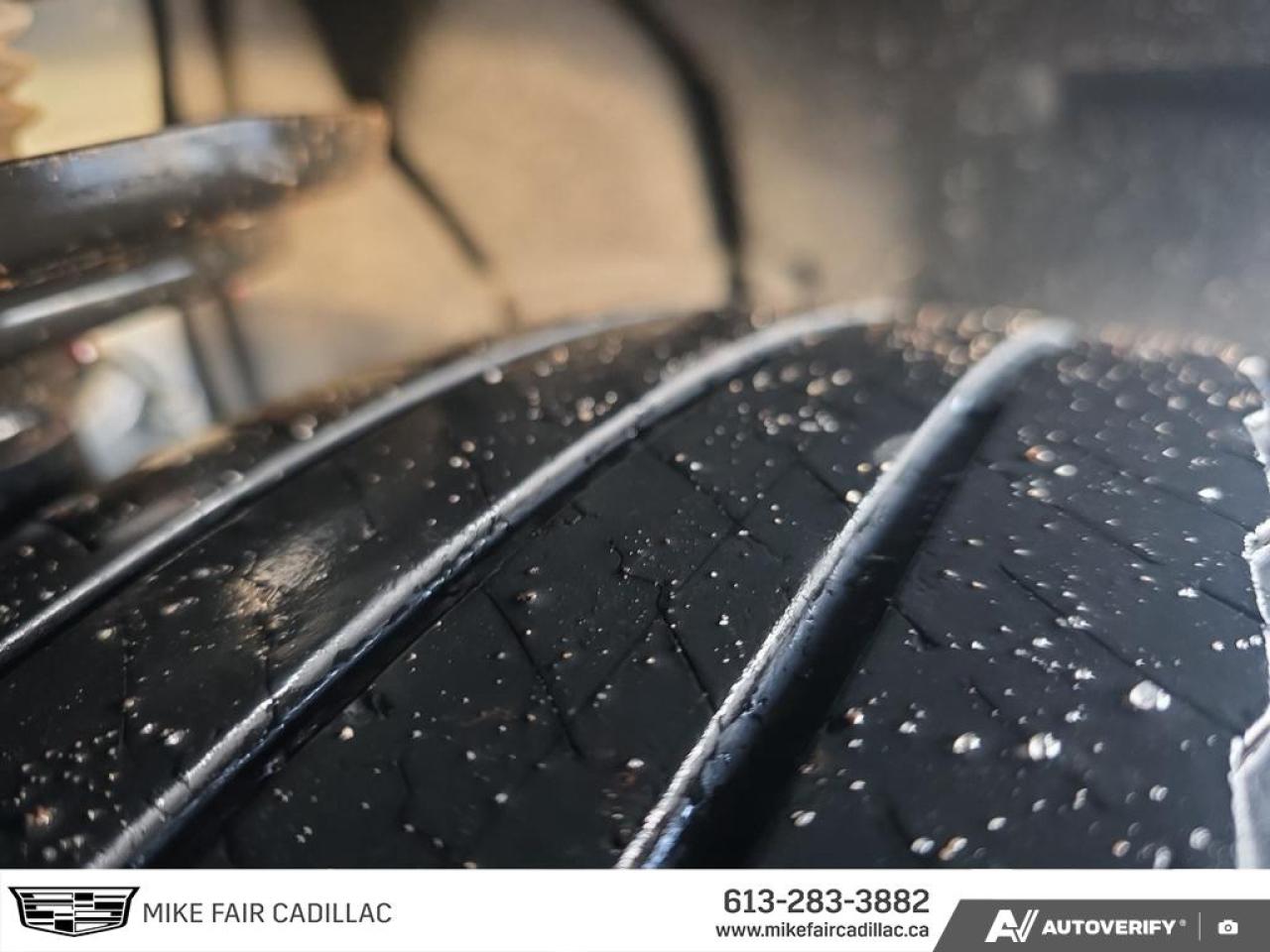 2022 Cadillac XT5 Premium Luxury Photo