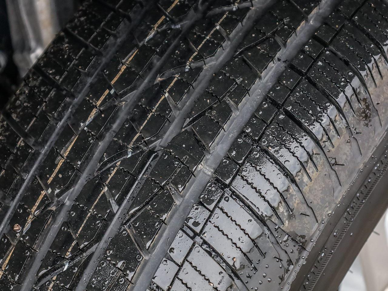 2025 Toyota Tacoma  Photo