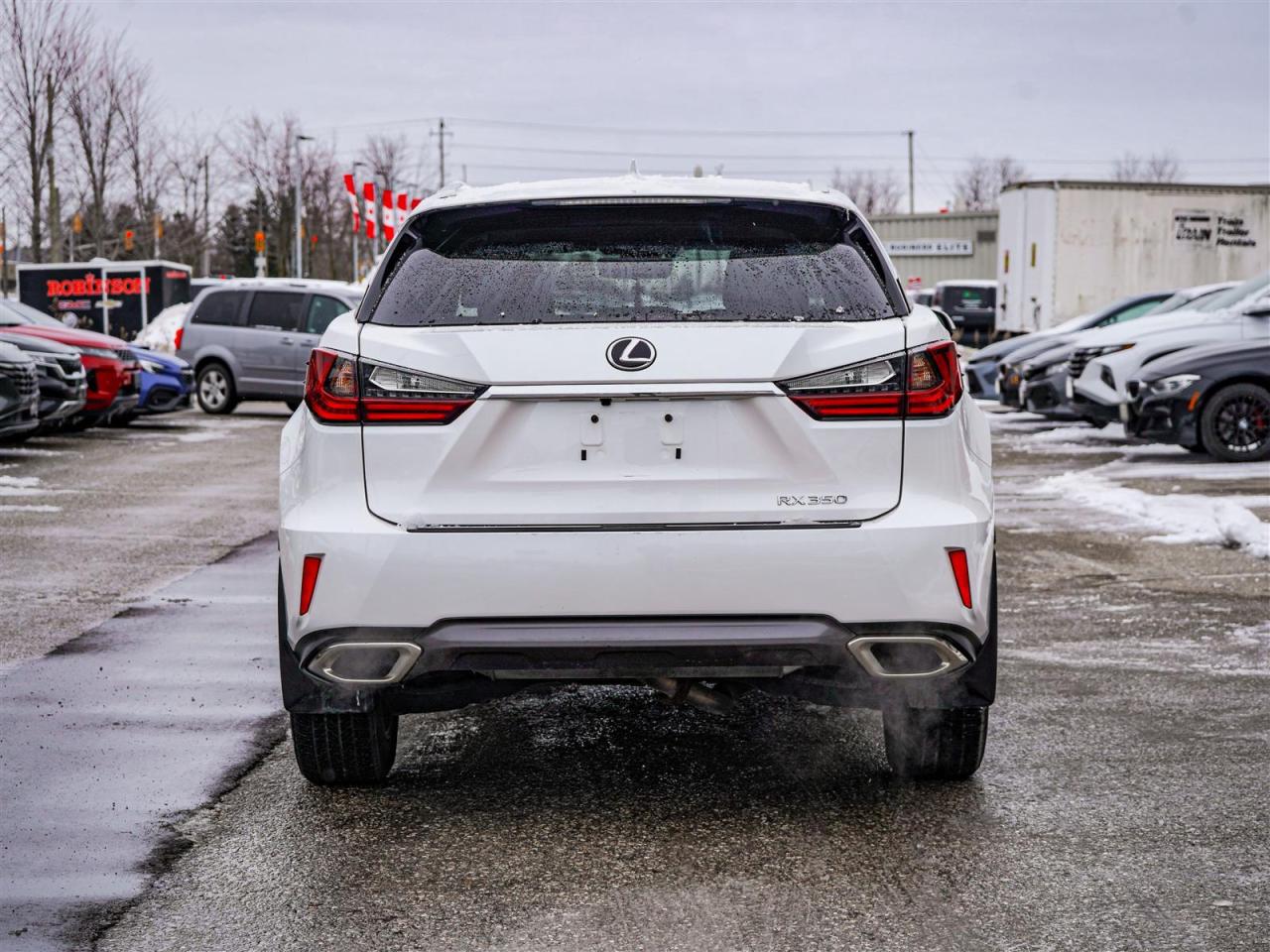 2019 Lexus RX 350 SOLD BY TANNYA Photo
