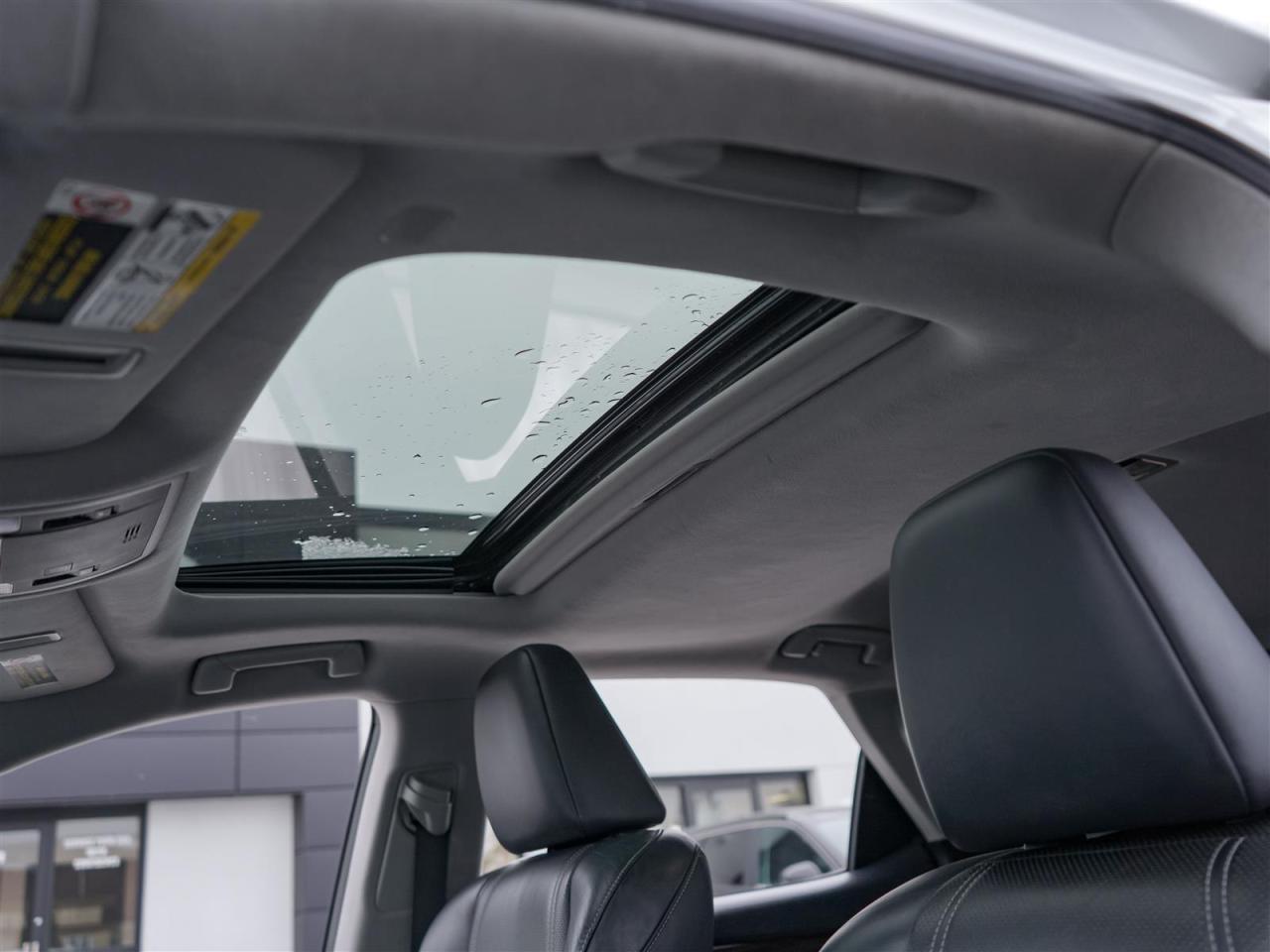 2019 Lexus RX 350 SOLD BY TANNYA Photo