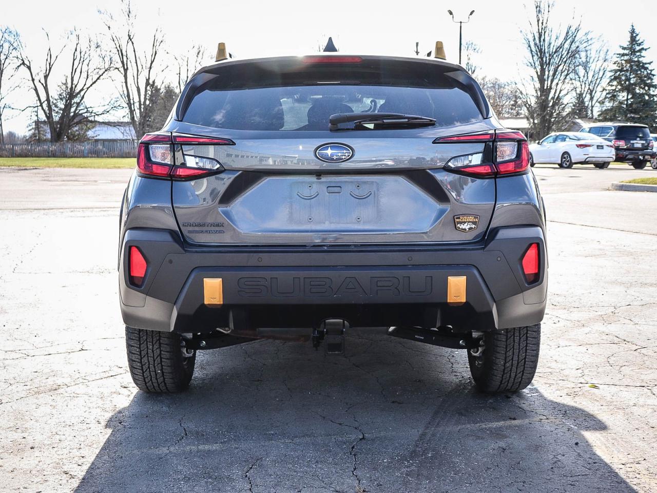 2025 Subaru XV Crosstrek Wilderness Photo3