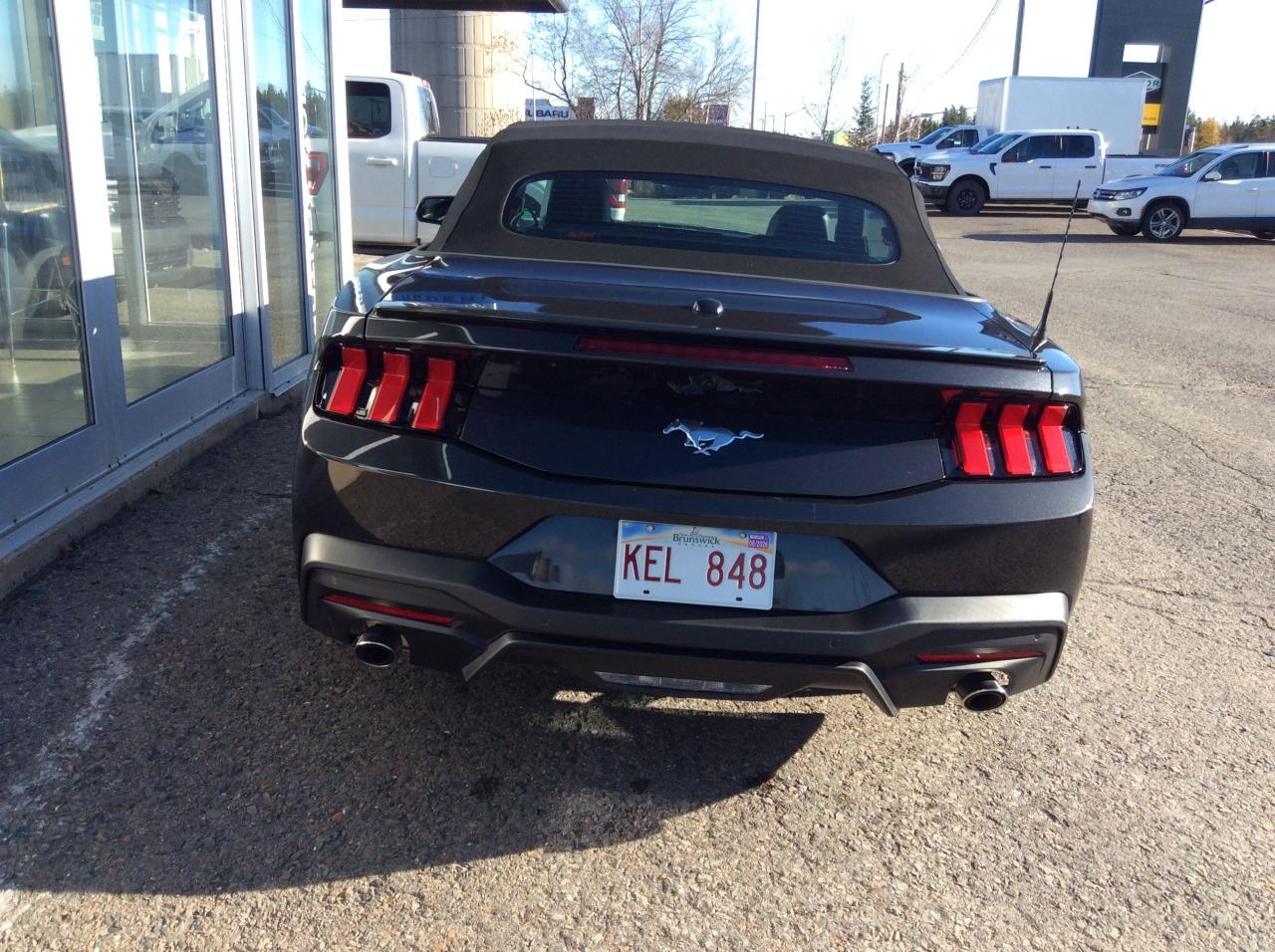 2024 Ford Mustang EcoBoost Premium Photo