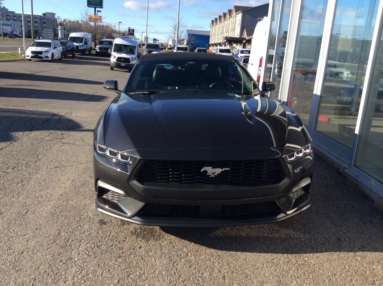 2024 Ford Mustang EcoBoost Premium Photo