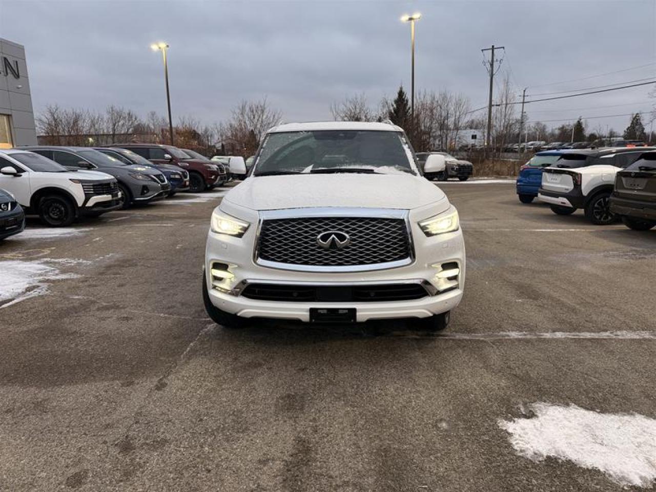 2024 Infiniti QX80 LUXE 7-Passenger Photo