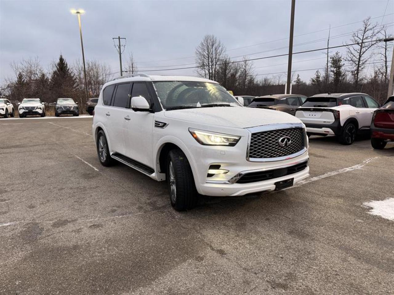 2024 Infiniti QX80 LUXE 7-Passenger Photo2