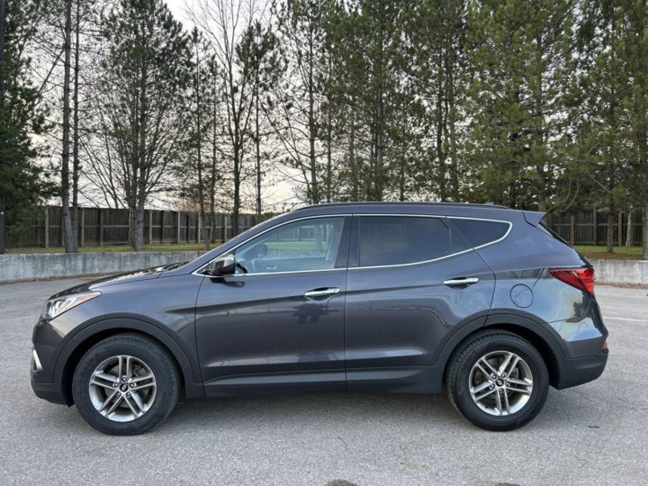 2018 Hyundai Santa Fe SPORT PREMIUM Photo
