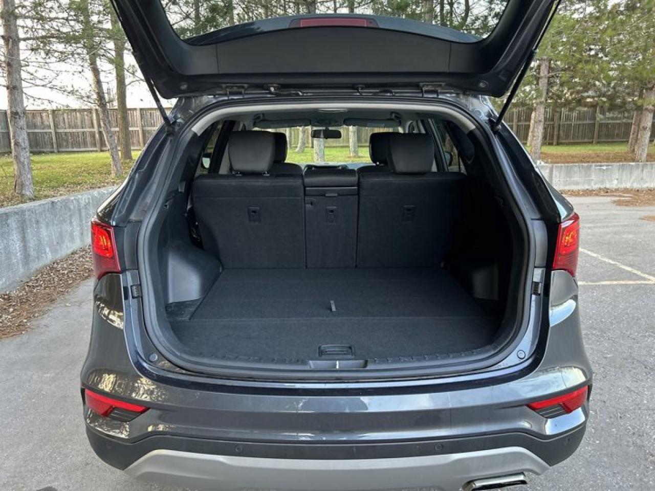 2018 Hyundai Santa Fe SPORT PREMIUM Photo