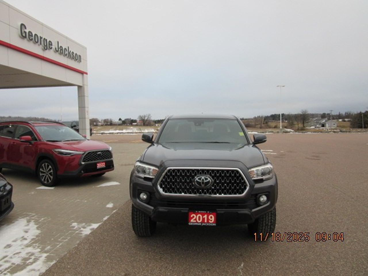 2019 Toyota Tacoma TRD Off Road Photo
