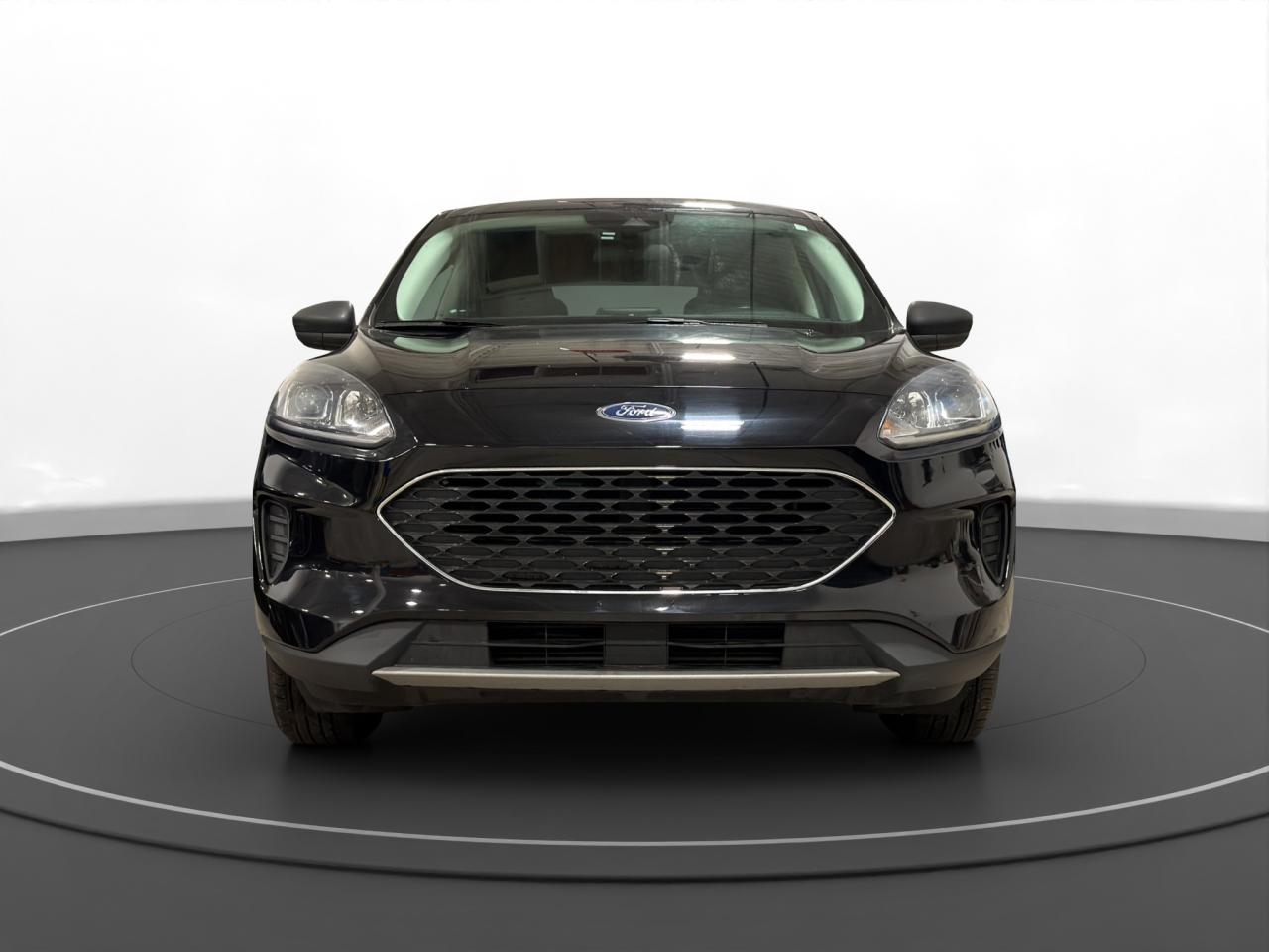 2022 Ford Escape SE Photo