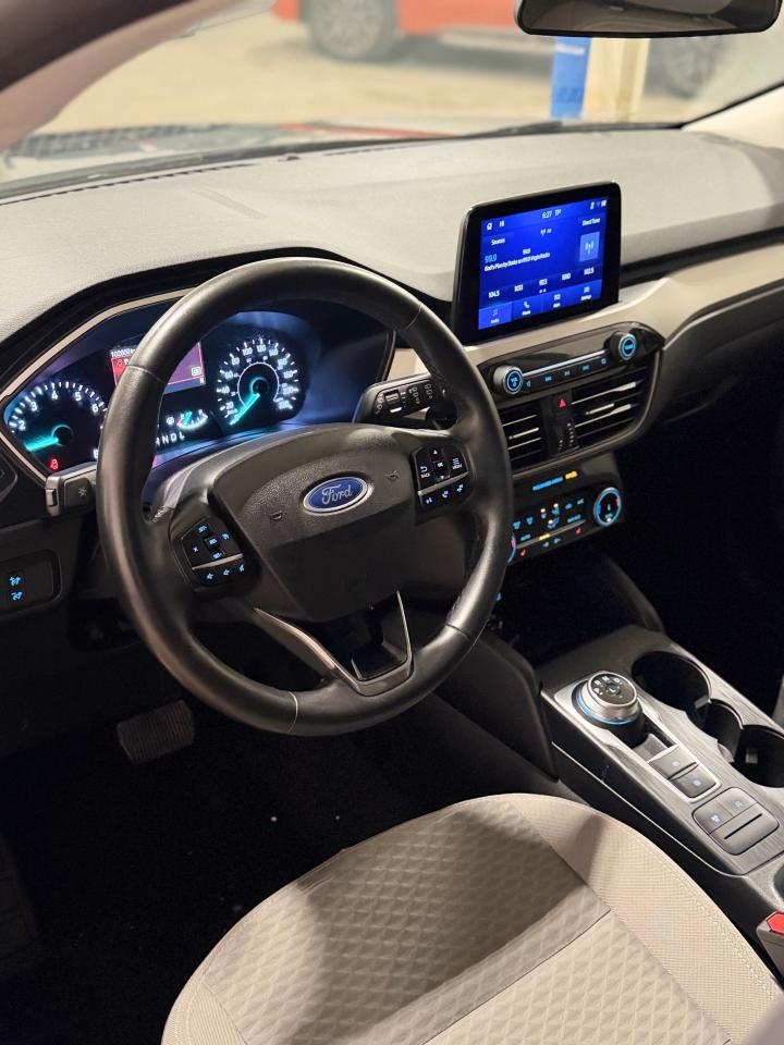 2022 Ford Escape SE Photo