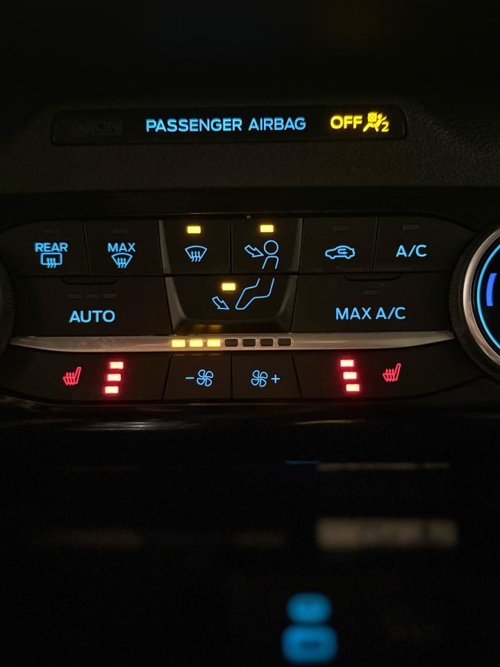 2022 Ford Escape SE Photo