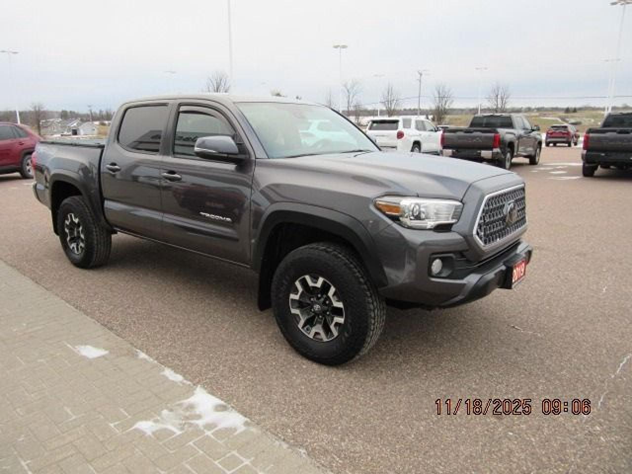 2019 Toyota Tacoma TRD Off Road Photo