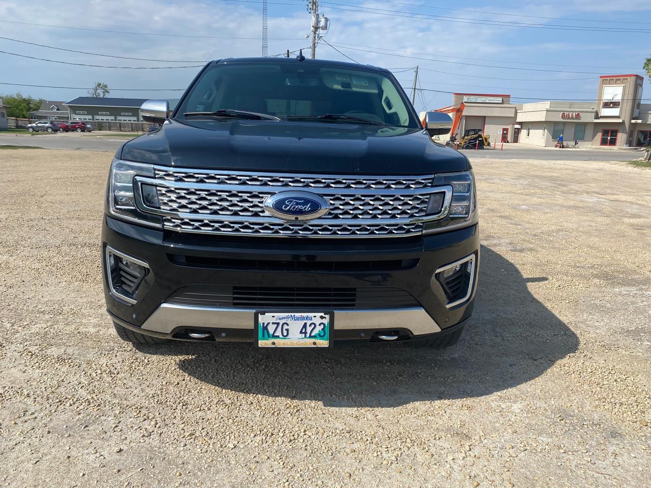 2018 Ford Expedition Platinum Max Photo