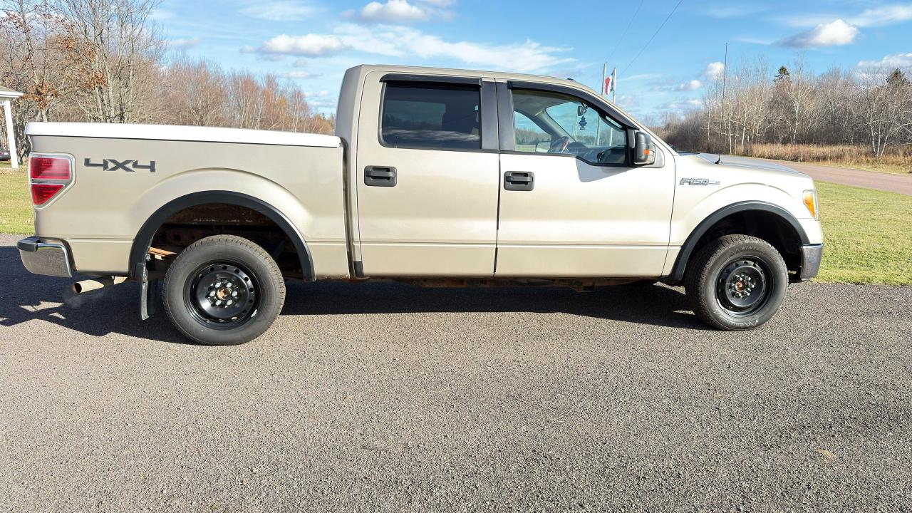 2010 Ford F-150 XLT