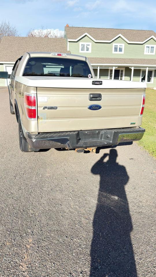 2010 Ford F-150 XLT - Photo #3