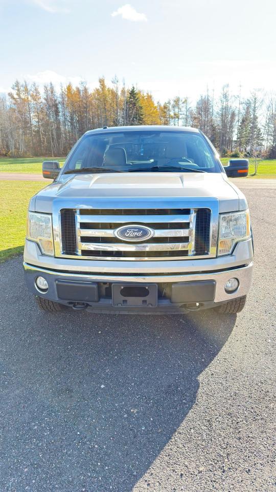 2010 Ford F-150 XLT - Photo #2