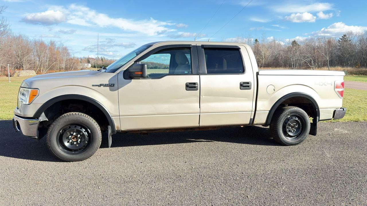 2010 Ford F-150 XLT - Photo #4