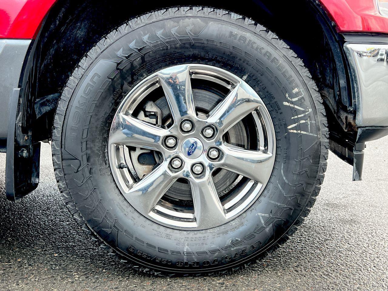 2020 Ford F-150 XLT 4X4 Photo