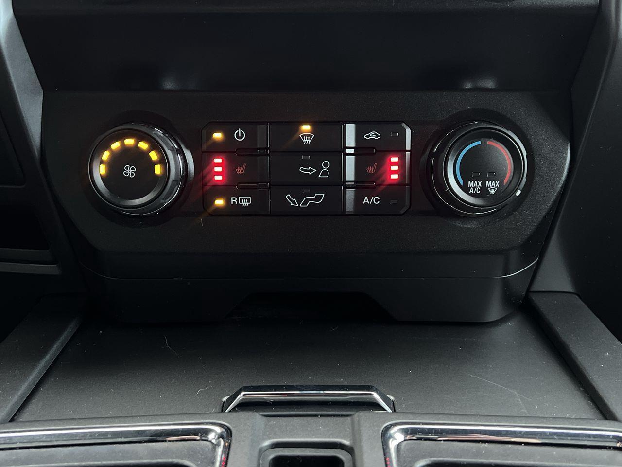 2020 Ford F-150 XLT 4X4 Photo