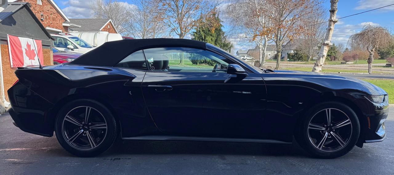 2024 Ford Mustang EcoBoost Premium Convertible Photo2