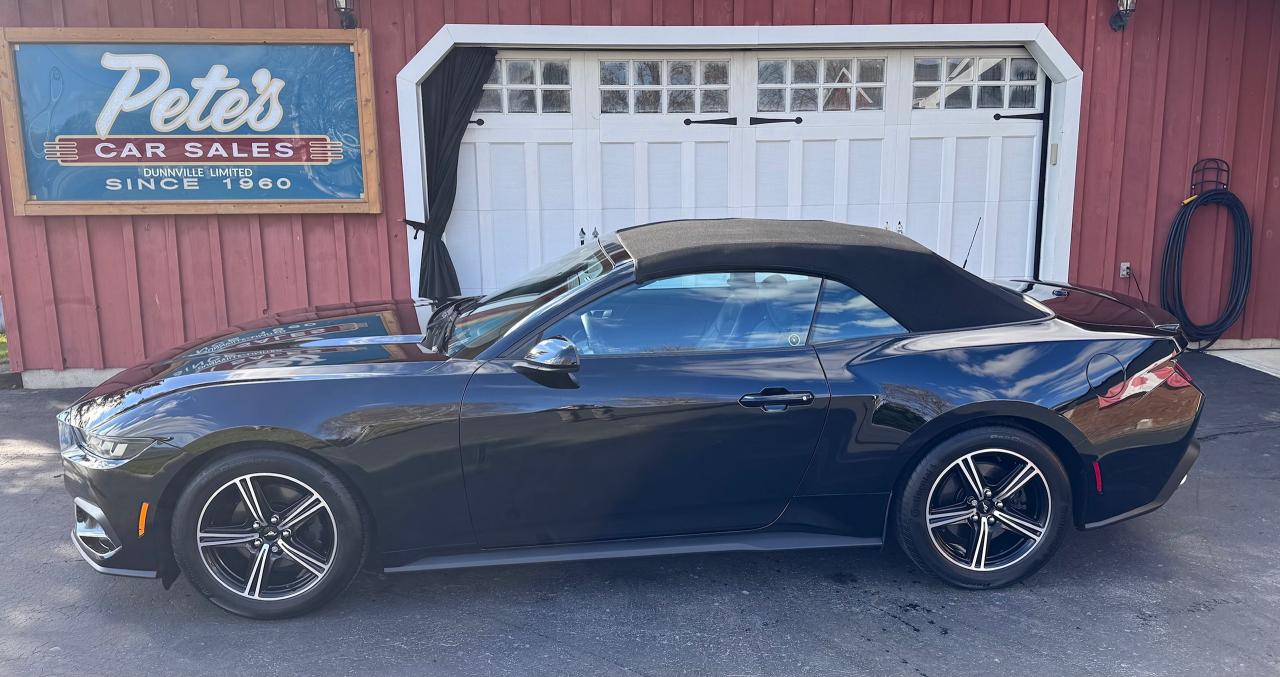 2024 Ford Mustang EcoBoost Premium Convertible Photo