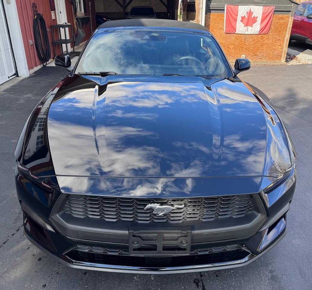 2024 Ford Mustang EcoBoost Premium Convertible Photo3