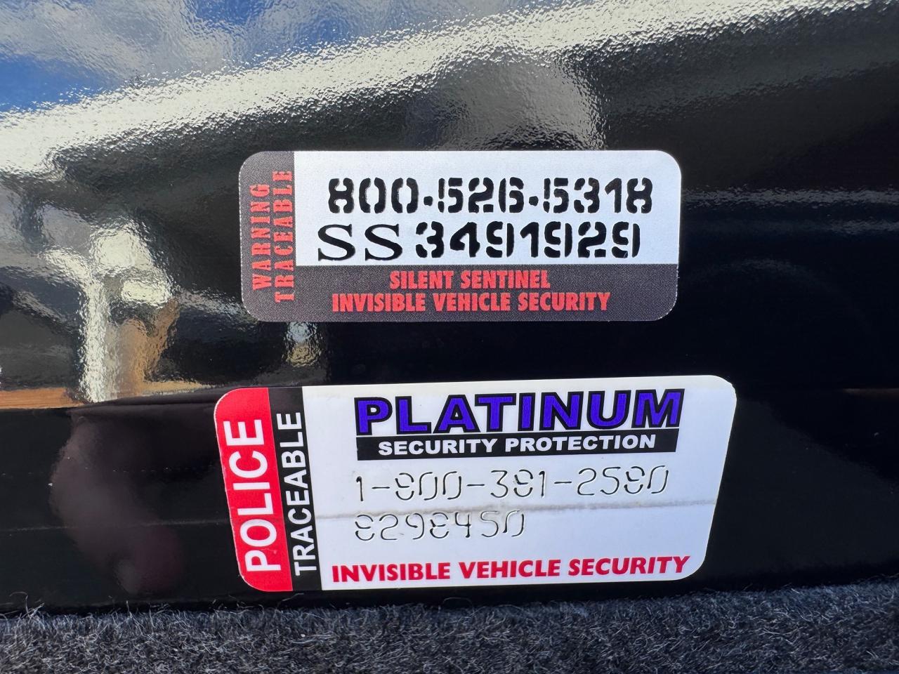 2024 Ford Mustang EcoBoost Premium Convertible Photo