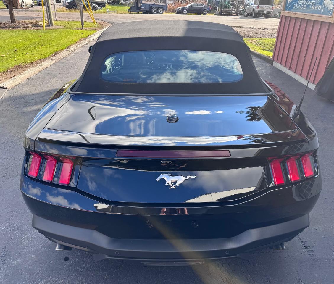 2024 Ford Mustang EcoBoost Premium Convertible Photo4