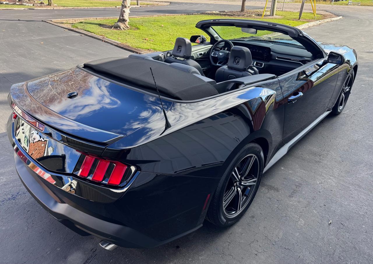 2024 Ford Mustang EcoBoost Premium Convertible Photo