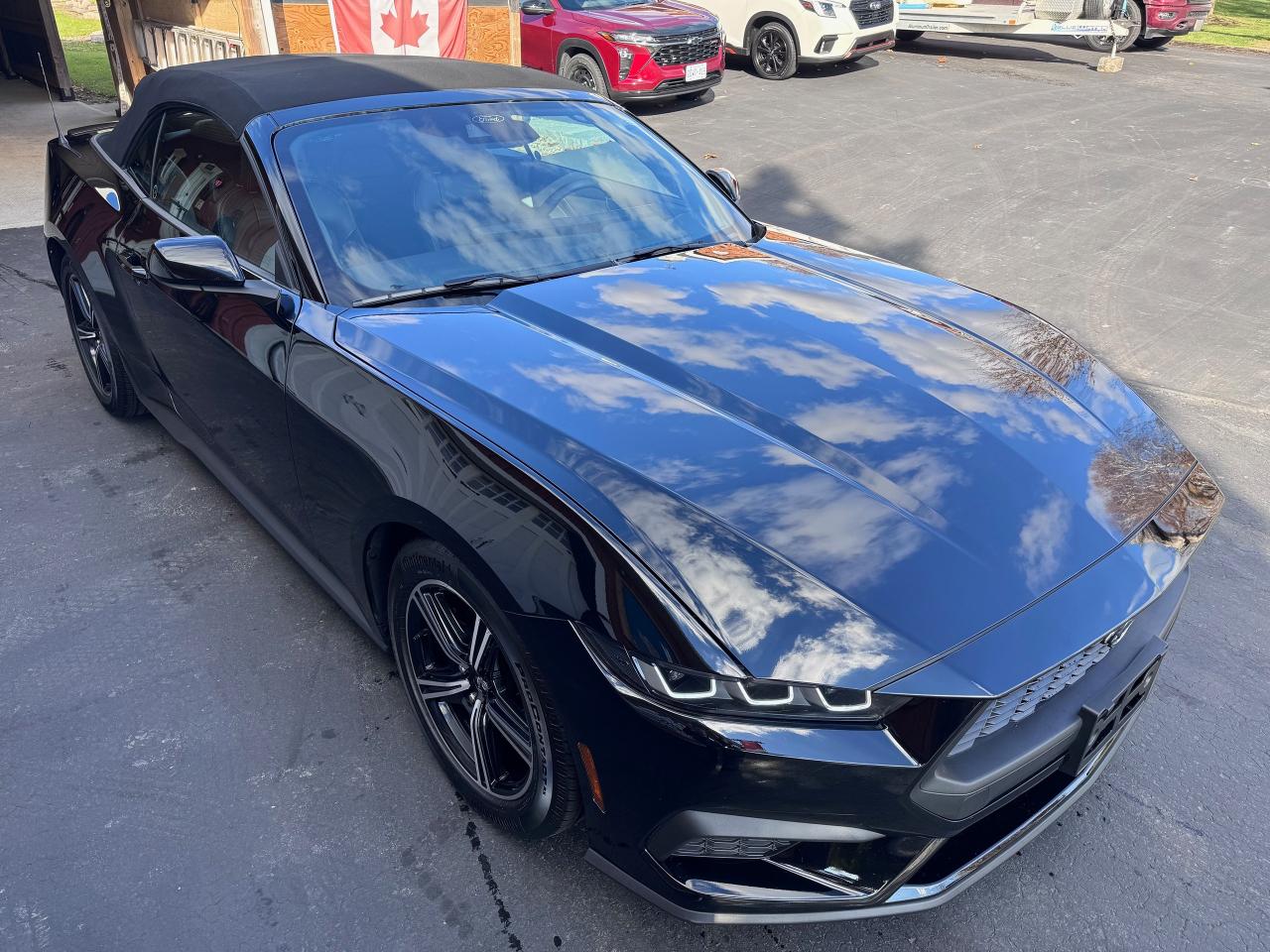 2024 Ford Mustang EcoBoost Premium Convertible Photo