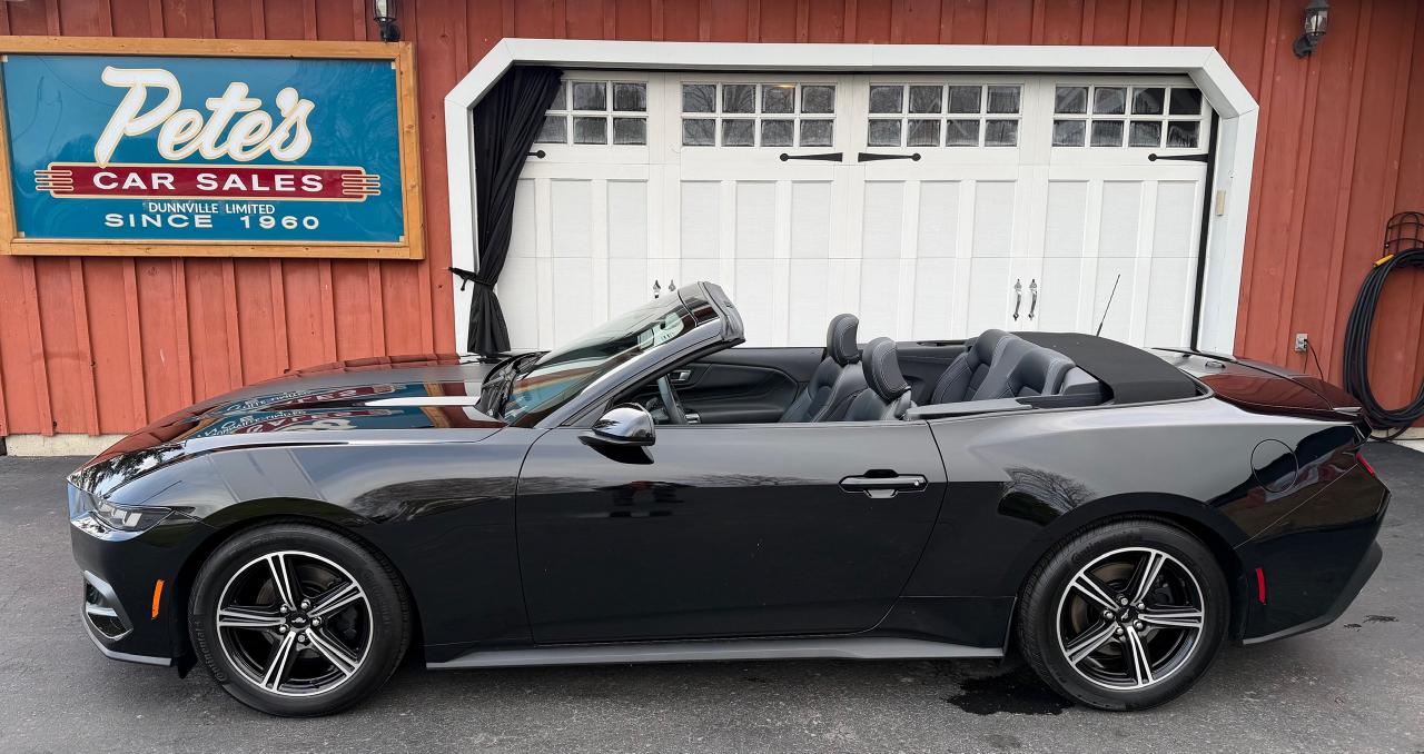 2024 Ford Mustang EcoBoost Premium Convertible