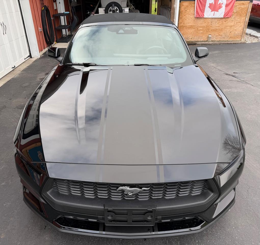 2024 Ford Mustang EcoBoost Premium Convertible - Photo #10