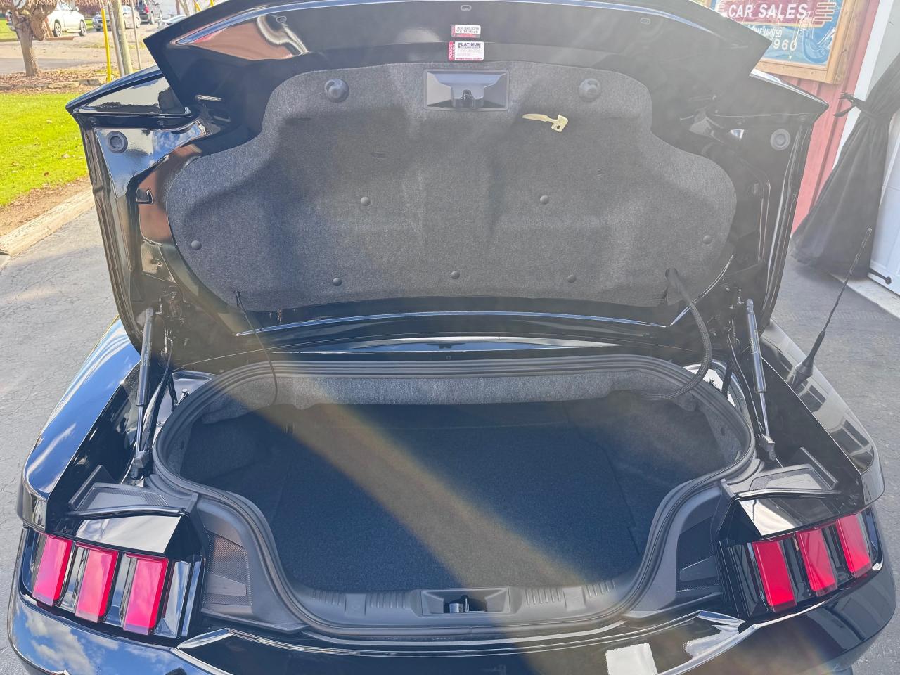 2024 Ford Mustang EcoBoost Premium Convertible - Photo #22