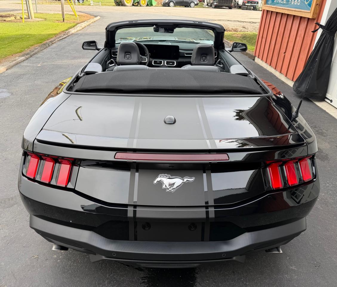 2024 Ford Mustang EcoBoost Premium Convertible - Photo #4