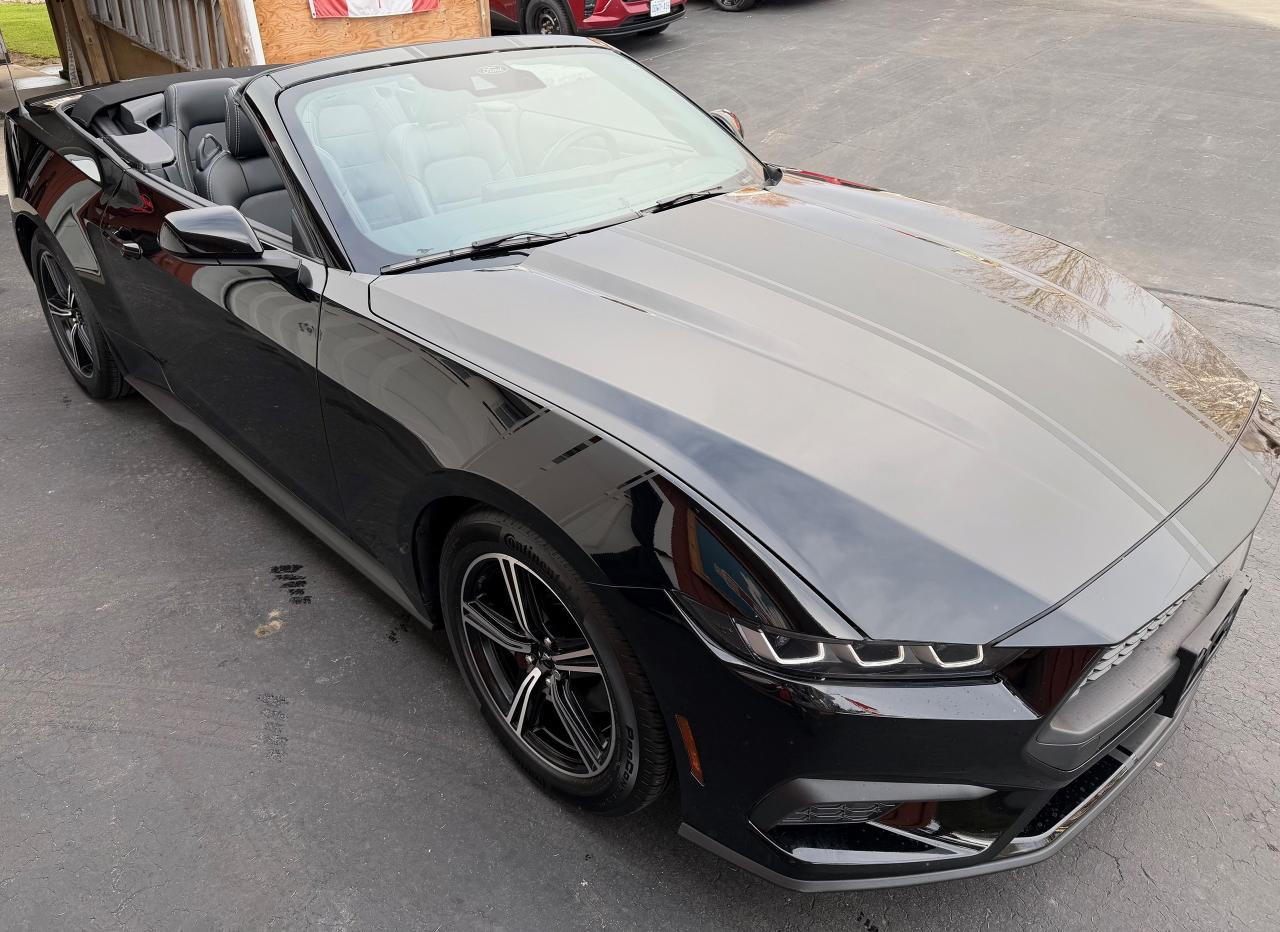 2024 Ford Mustang EcoBoost Premium Convertible - Photo #7
