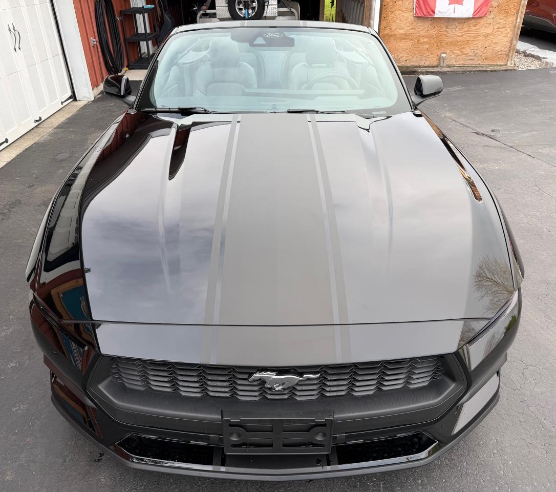 2024 Ford Mustang EcoBoost Premium Convertible - Photo #3