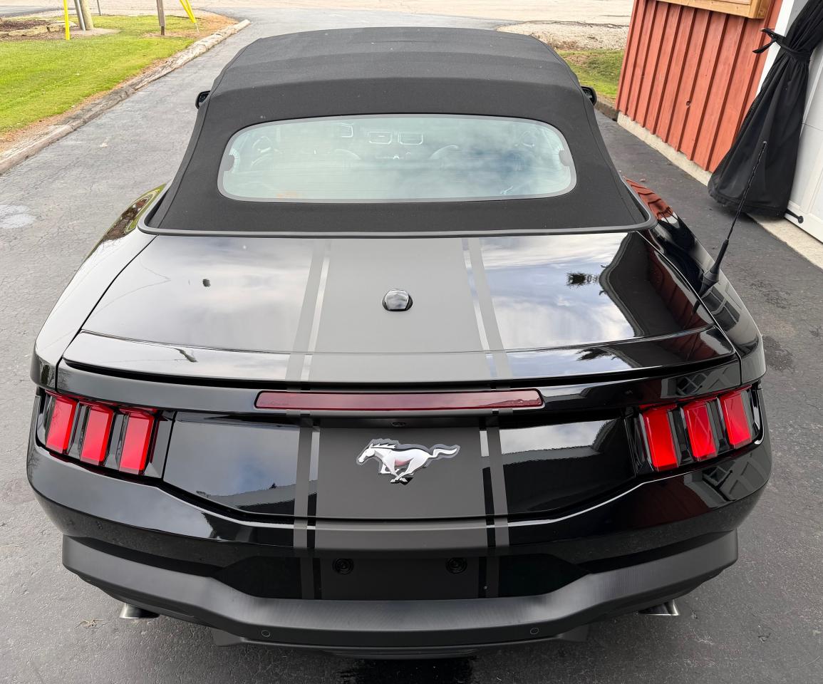 2024 Ford Mustang EcoBoost Premium Convertible - Photo #11