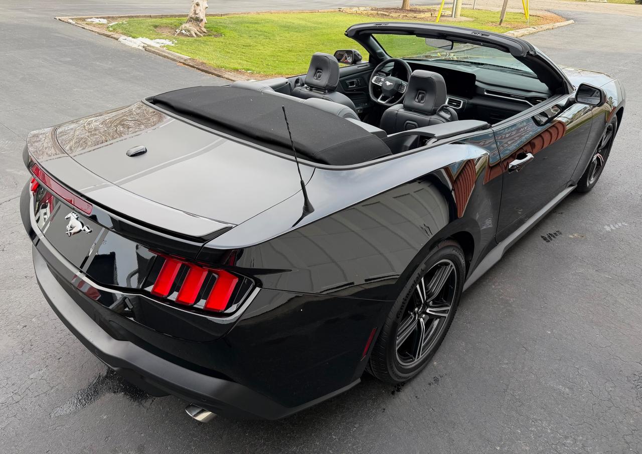 2024 Ford Mustang EcoBoost Premium Convertible - Photo #8