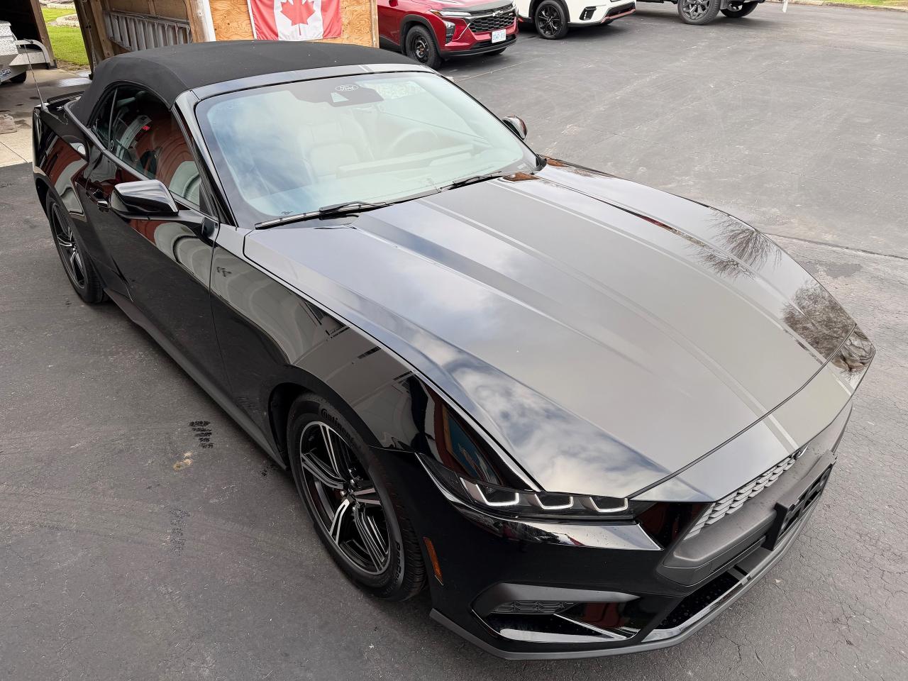 2024 Ford Mustang EcoBoost Premium Convertible - Photo #13