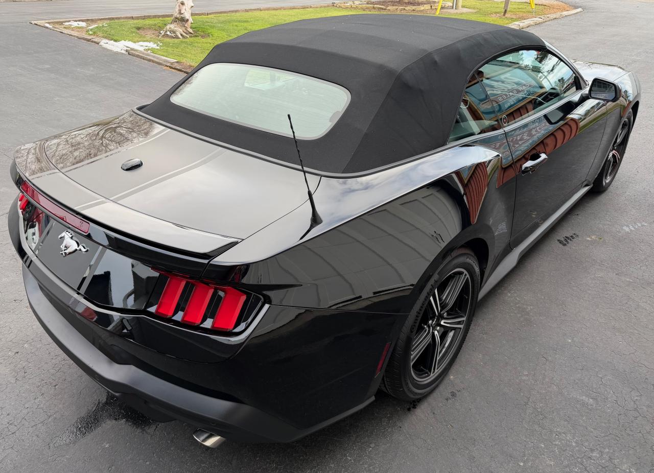 2024 Ford Mustang EcoBoost Premium Convertible - Photo #14