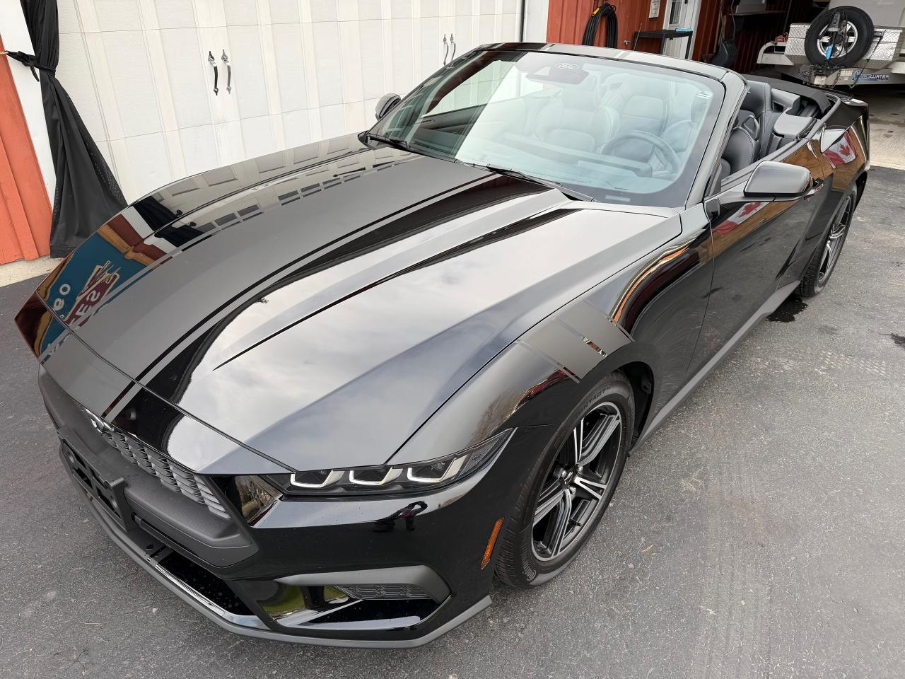2024 Ford Mustang EcoBoost Premium Convertible - Photo #6