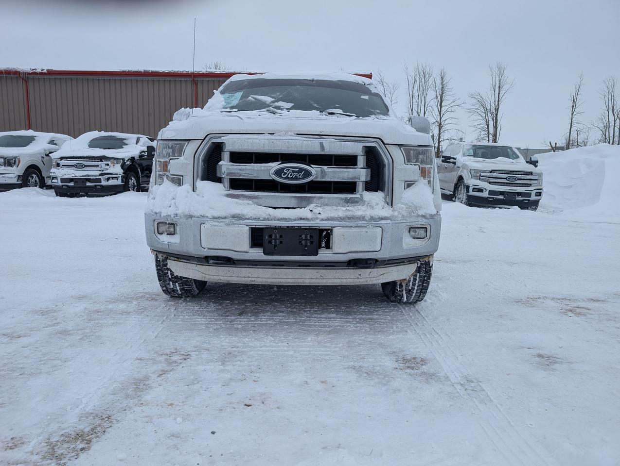 2016 Ford F-150 4WD SUPERCREW 145" XLT Photo1