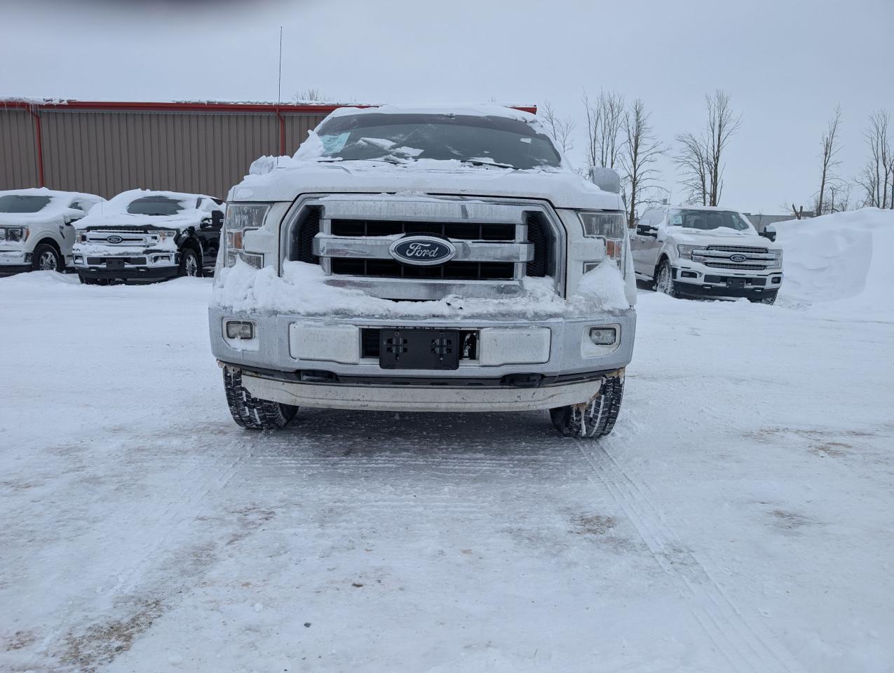 2016 Ford F-150 XLT SuperCrew 6.5' Box Photo1